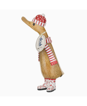 canard