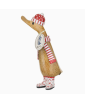 canard