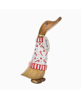 canard