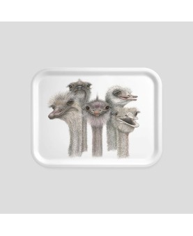 plateau taille moyenne