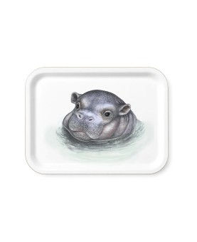 plateau taille moyenne
