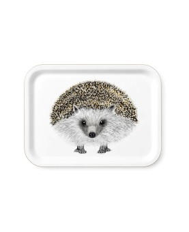 plateau taille moyenne