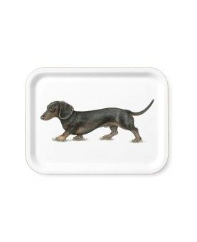 plateau taille moyenne