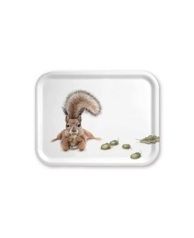 plateau taille moyenne