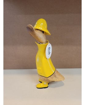 canard