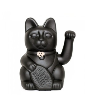 lucky cat noir